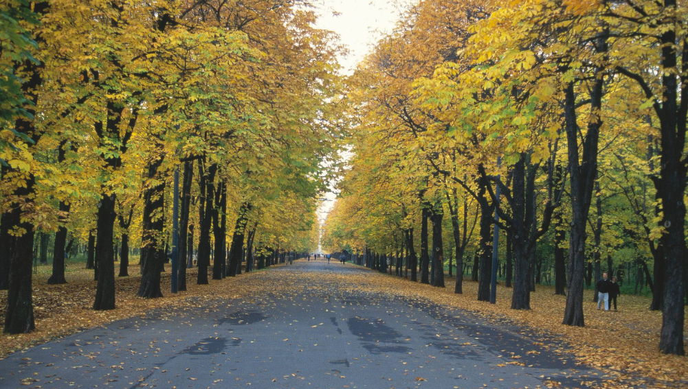 The Best Parks and Green Spaces in Vienna: Nature Escapes in an Urban Paradise